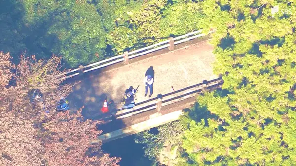 【事故】東伊豆町・要害橋で20代女性が40m転落し死亡！現場の画像・状況まとめ！